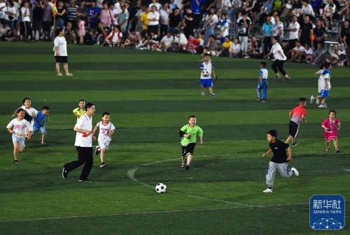 出手时机已 出手时机已